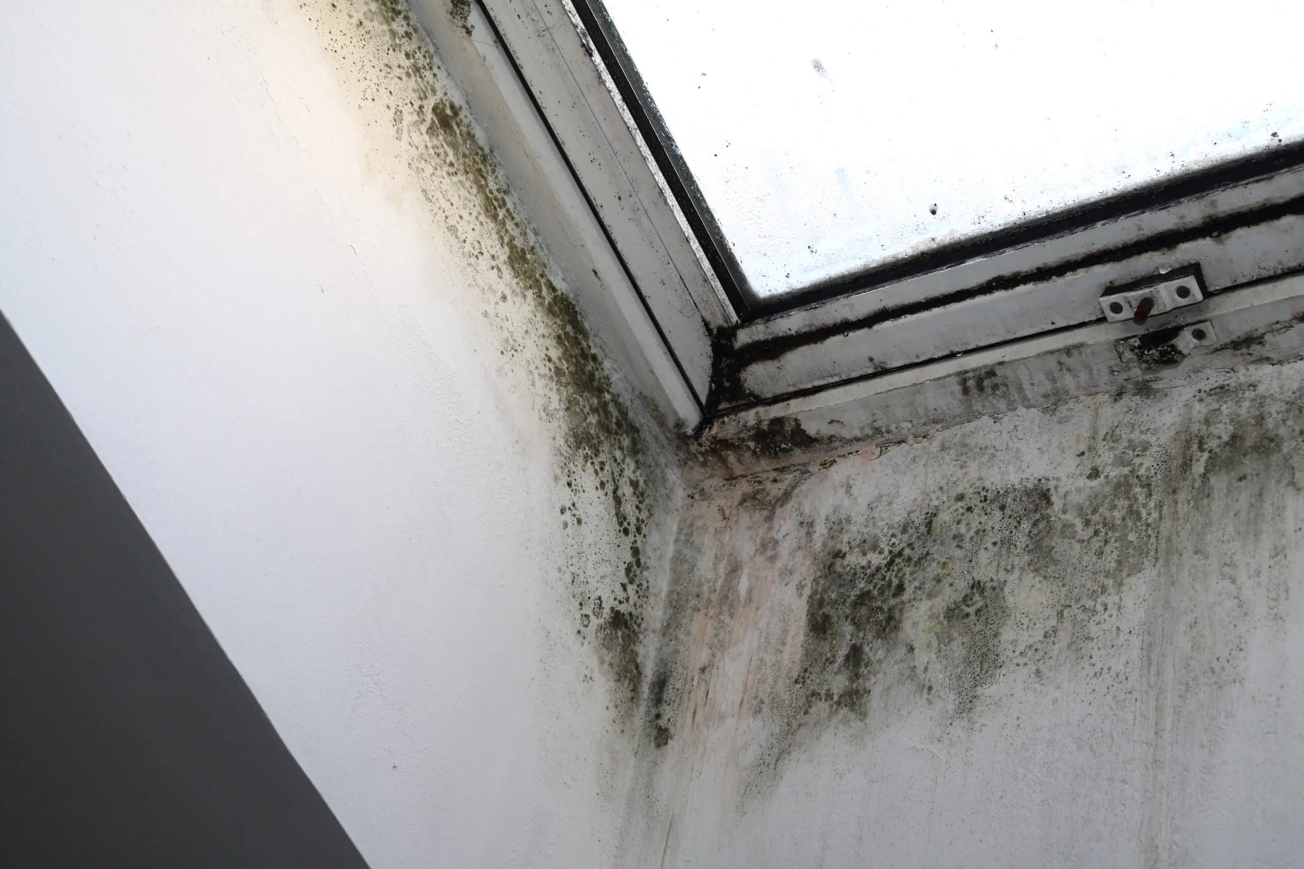 Mould Caused By Condensation